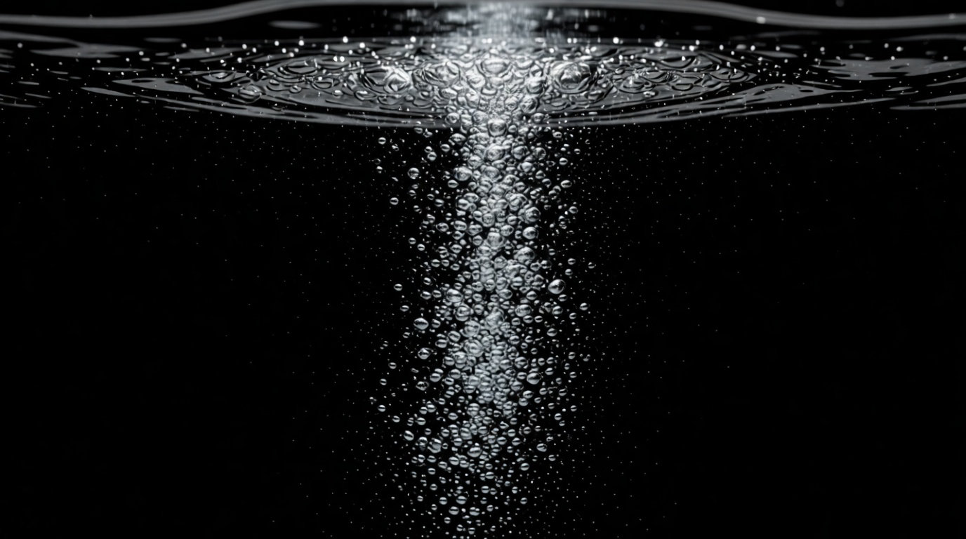 Eau plate ou gazeuse : décryptage des différences techniques